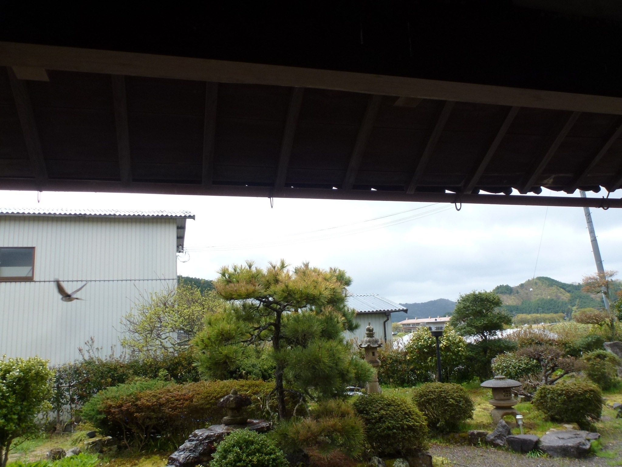 P1100584.JPG
