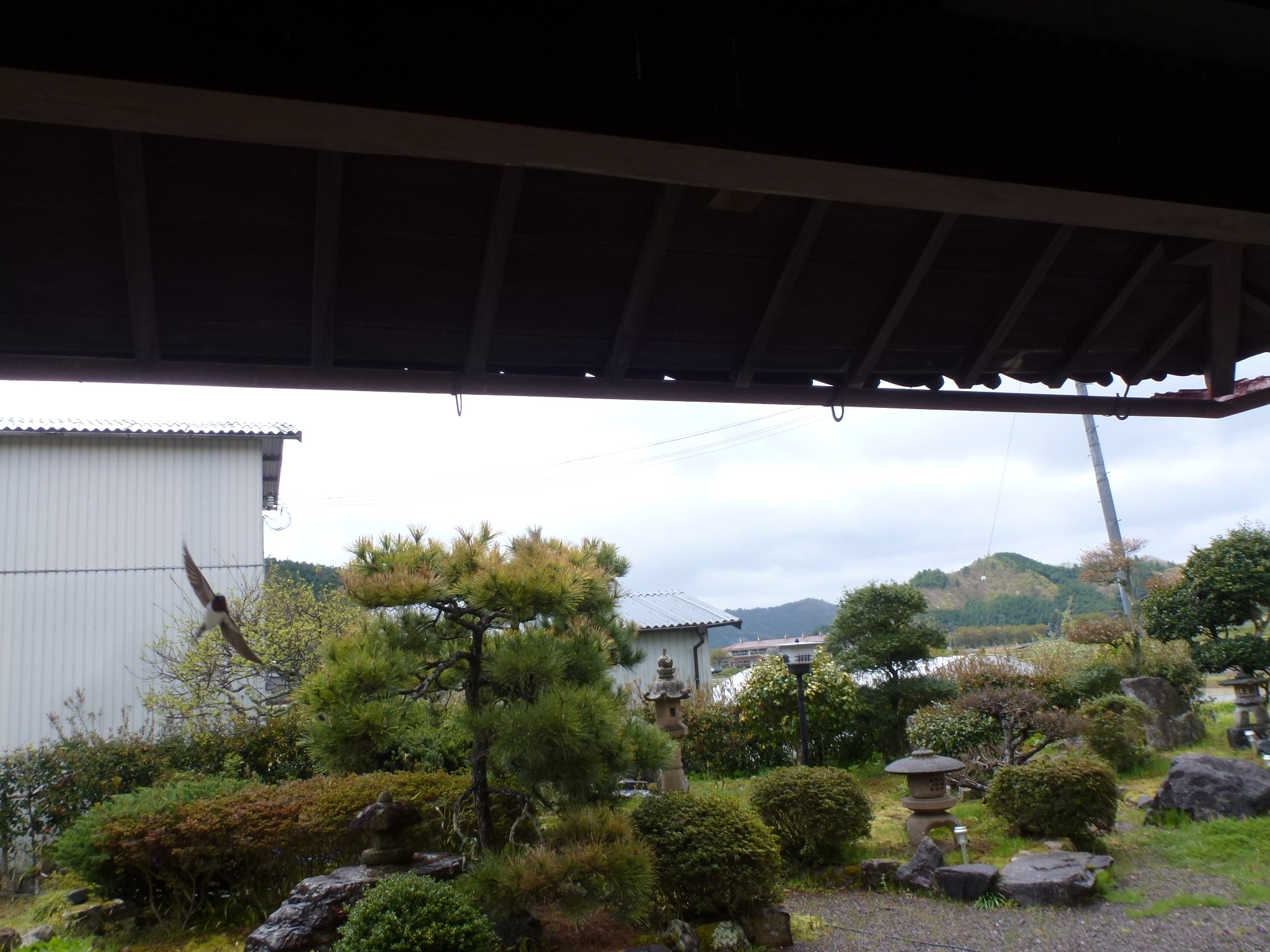 P1100607.JPG