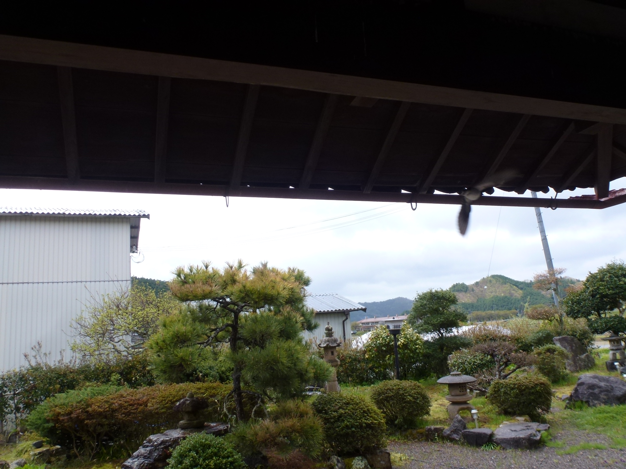P1100608.JPG