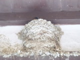 img0002.jpg