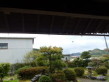 img0016.jpg