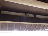 img0022.jpg