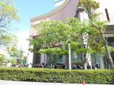 img0037.jpg