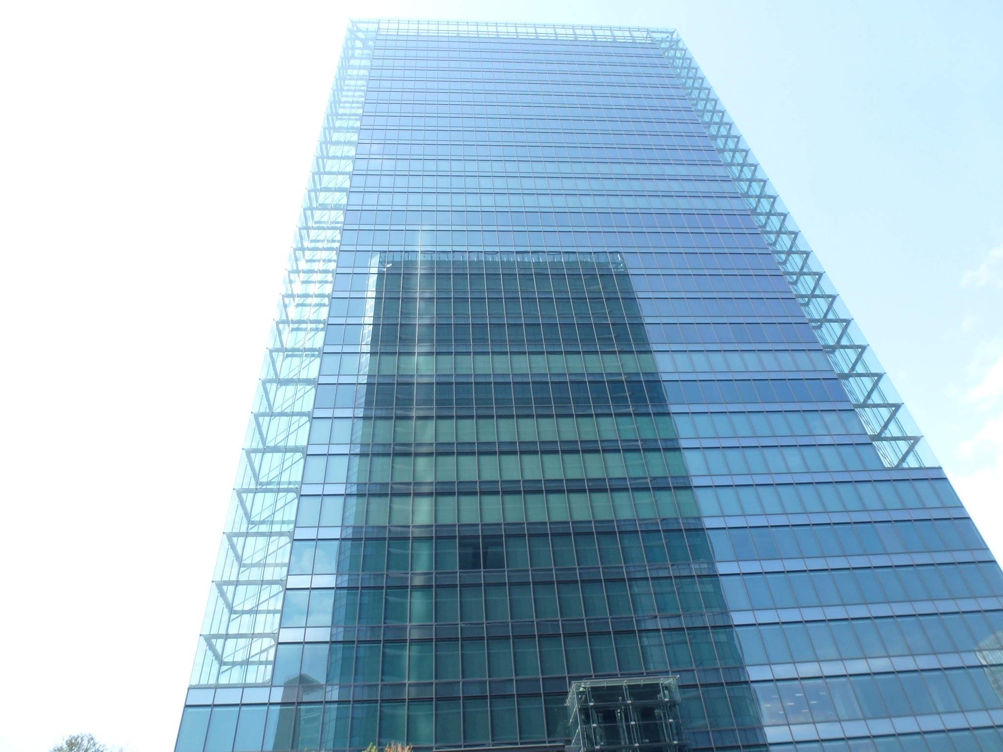 P1100687.JPG