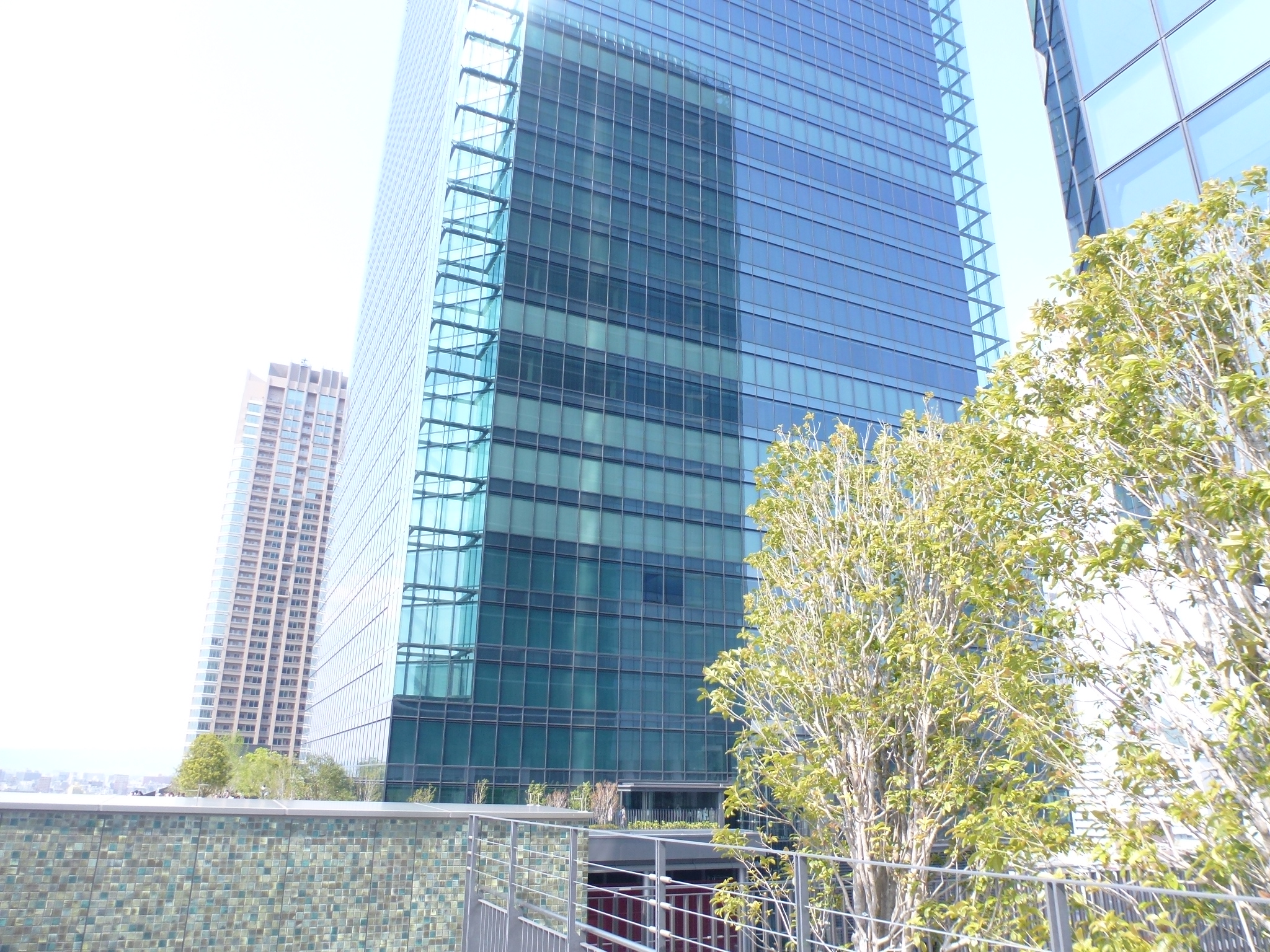 P1100697.JPG