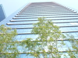 img0010.jpg