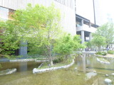 img0023.jpg