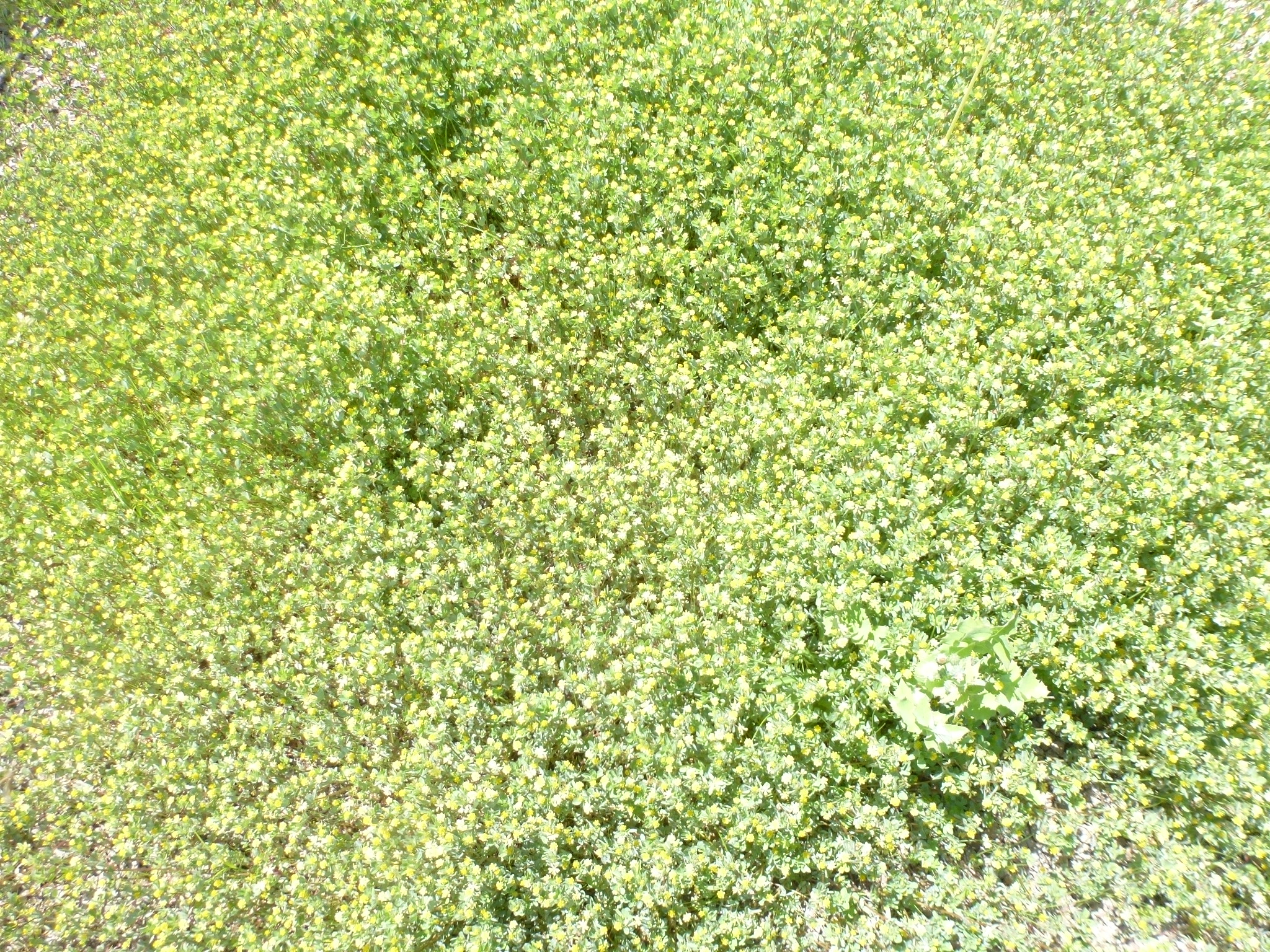 P1100723.JPG