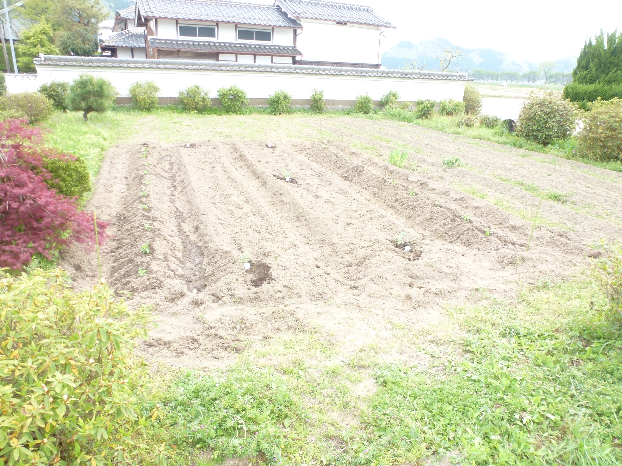 P1100744.JPG