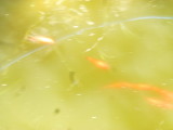 img0000.jpg