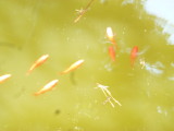 img0002.jpg