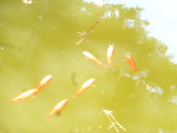 img0003.jpg