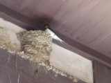img0015.jpg