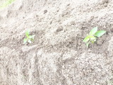 img0019.jpg