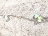 img0020.jpg