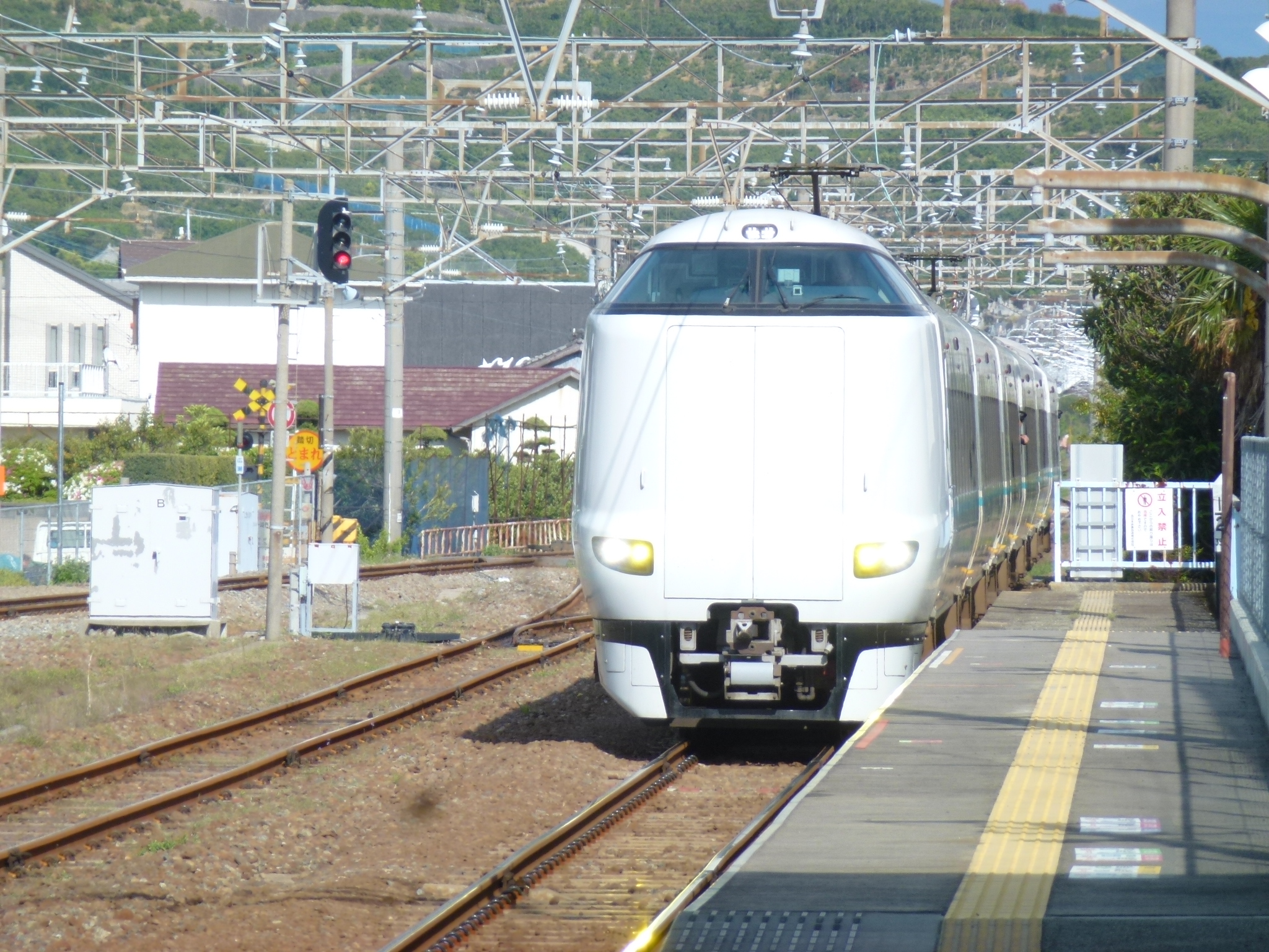 P1100824.JPG