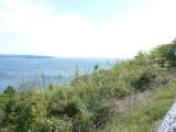 img0037.jpg