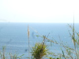 img0038.jpg