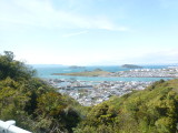 img0040.jpg