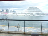 img0003.jpg