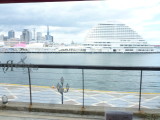 img0004.jpg