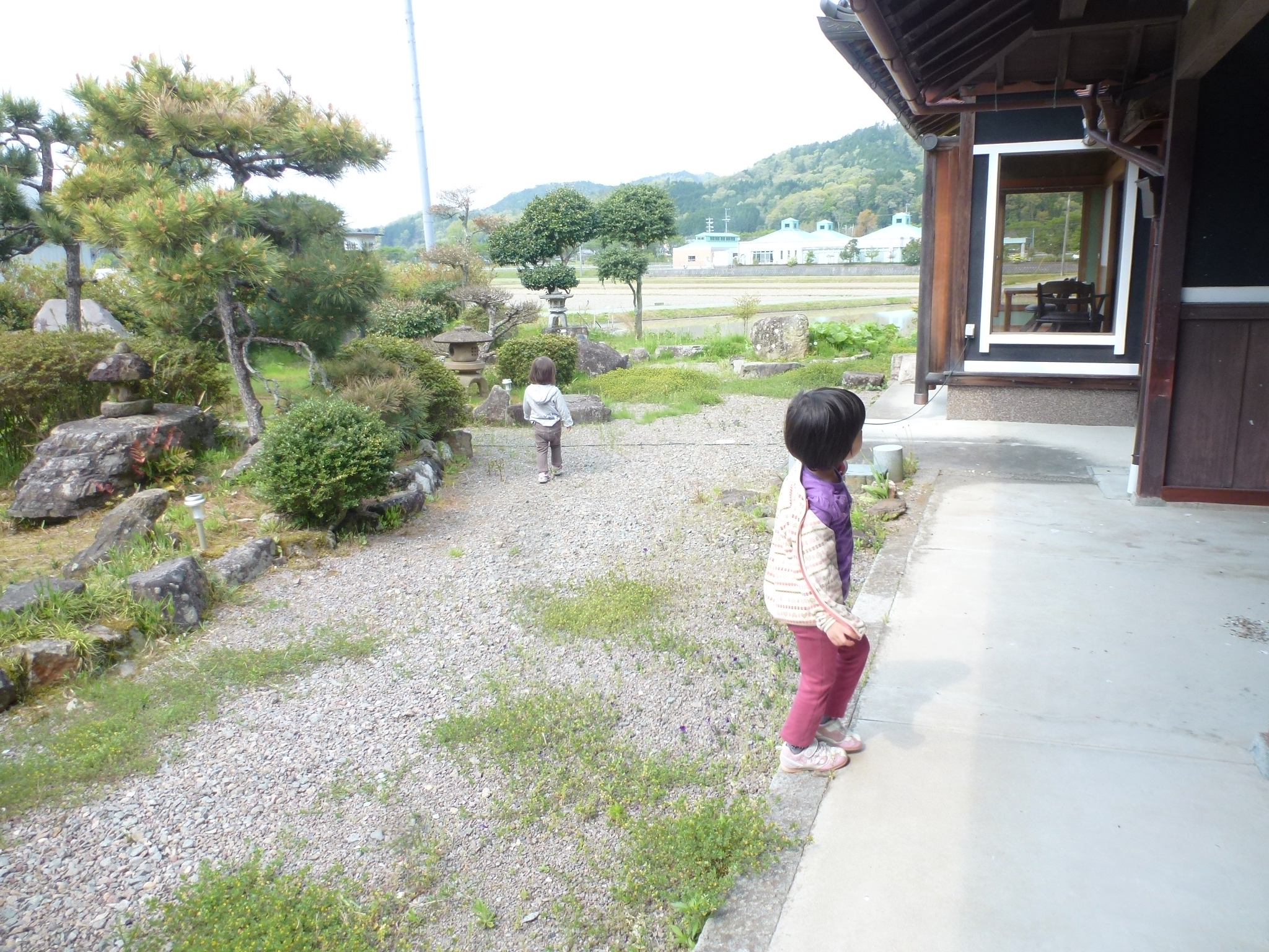 P1100888.JPG