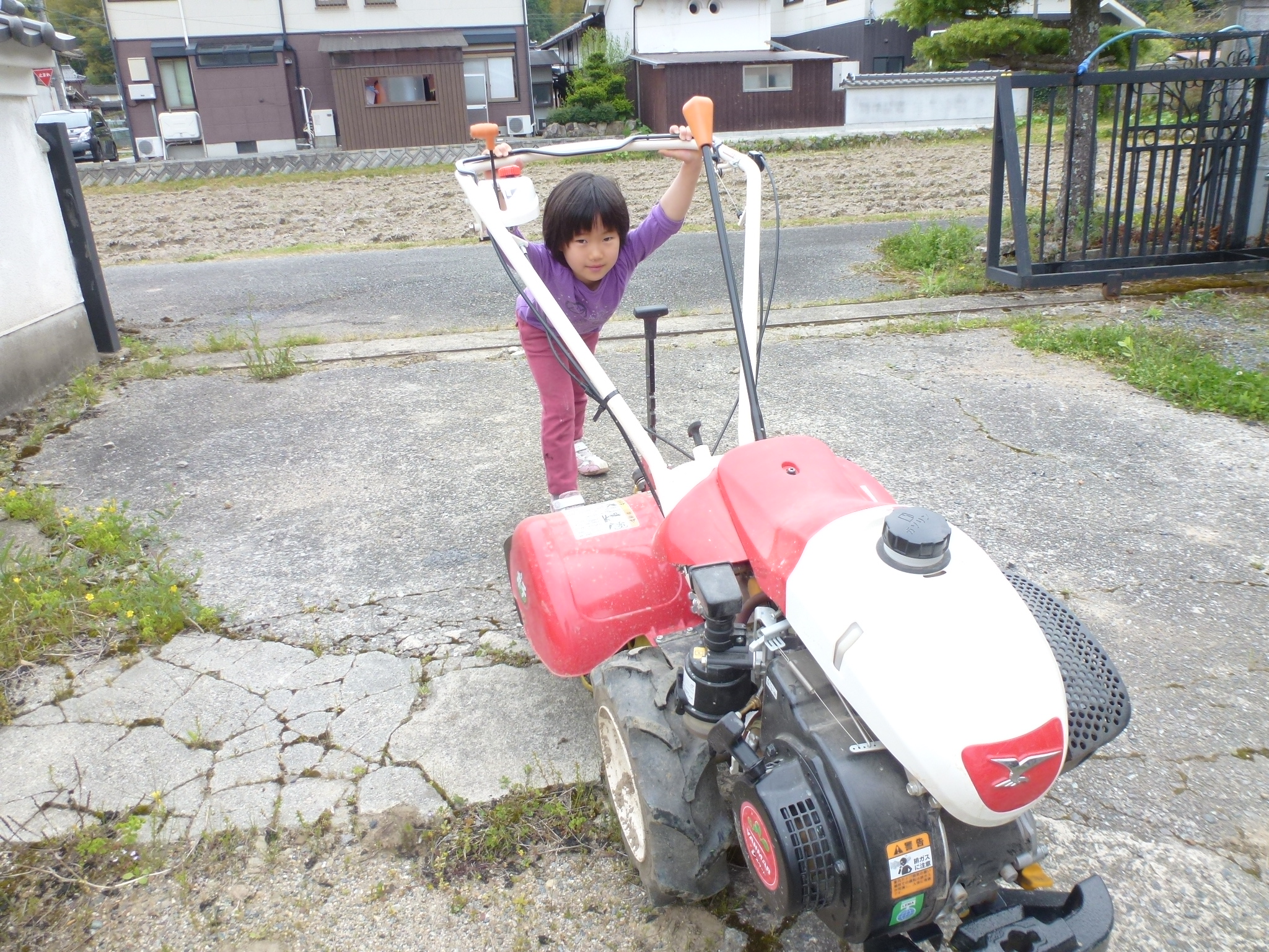 P1100894.JPG