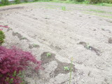 img0015.jpg