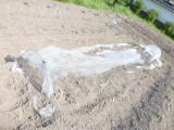 img0003.jpg