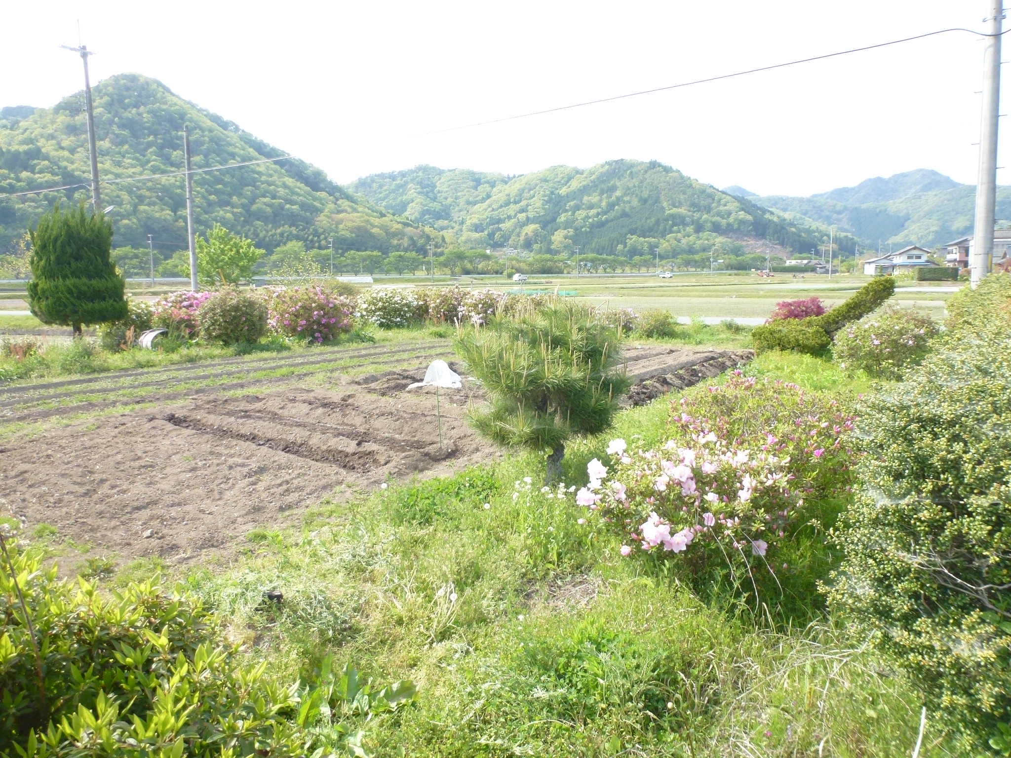P1100945.JPG