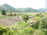img0004.jpg