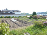 img0005.jpg