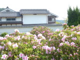 img0007.jpg