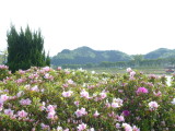 img0008.jpg