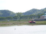 img0009.jpg