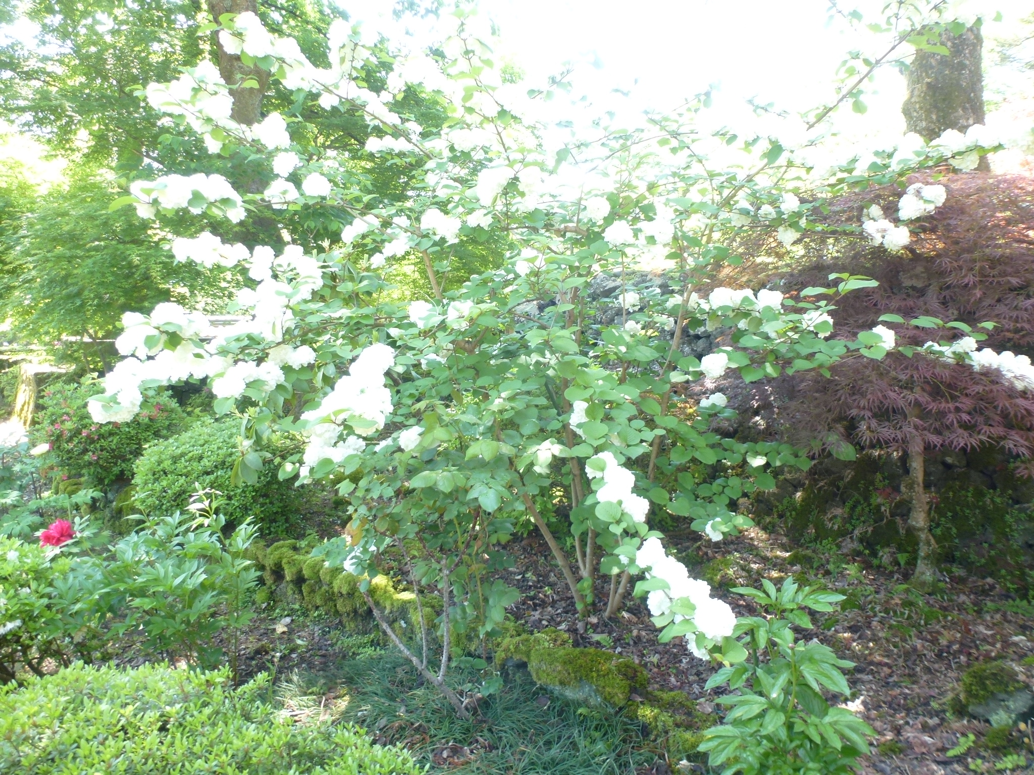 P1100955.JPG