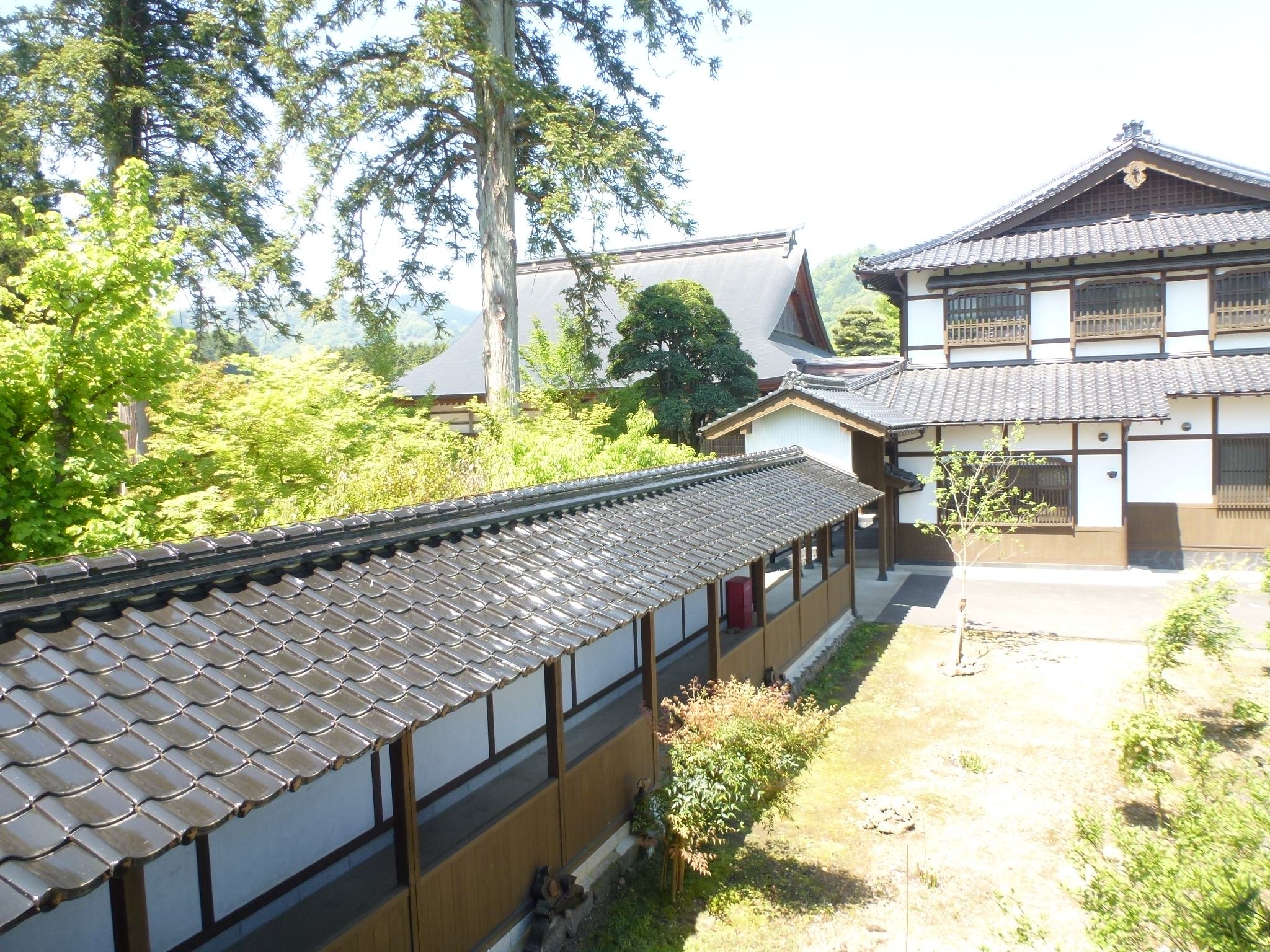 P1110002.JPG