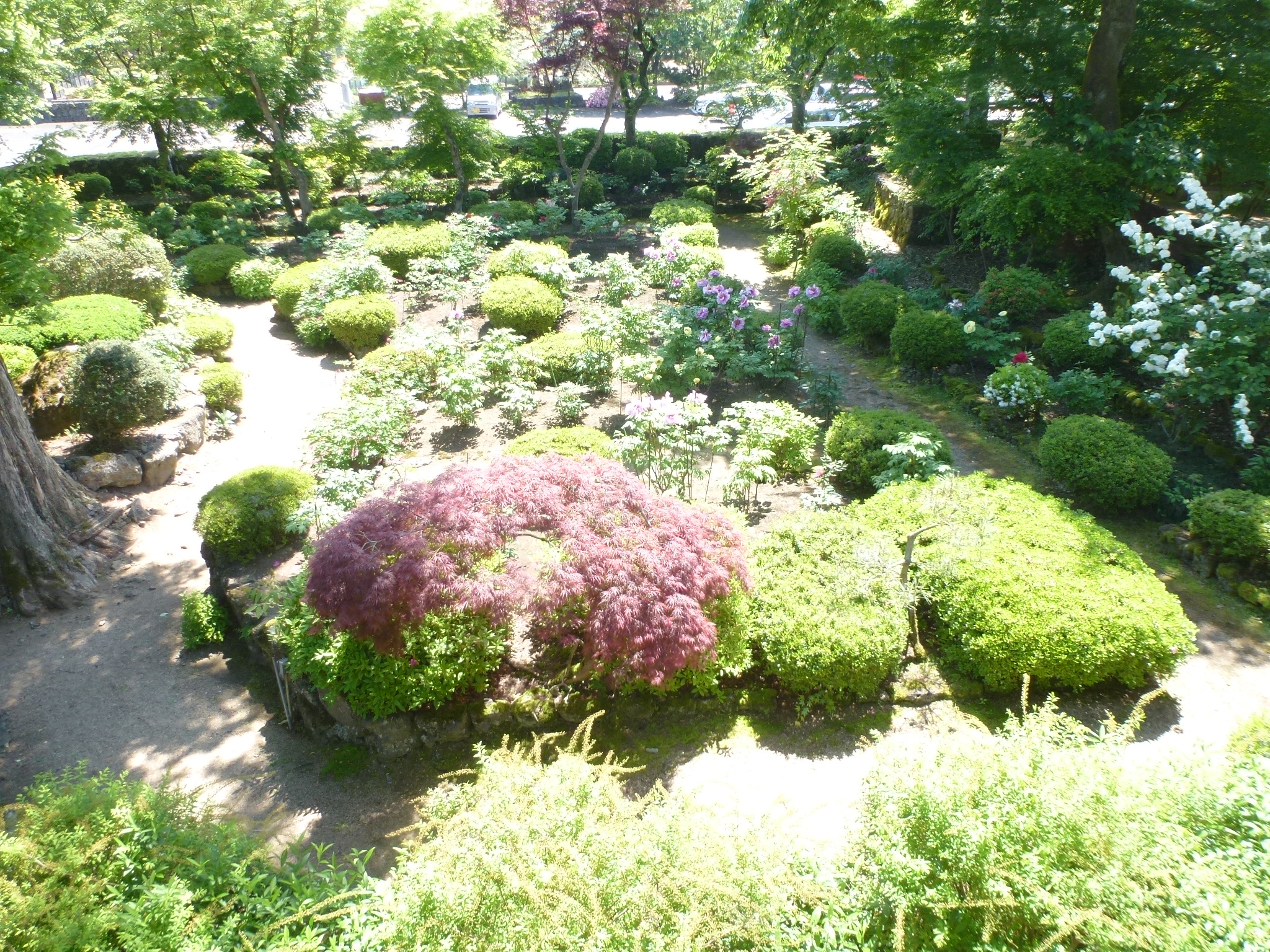 P1110004.JPG