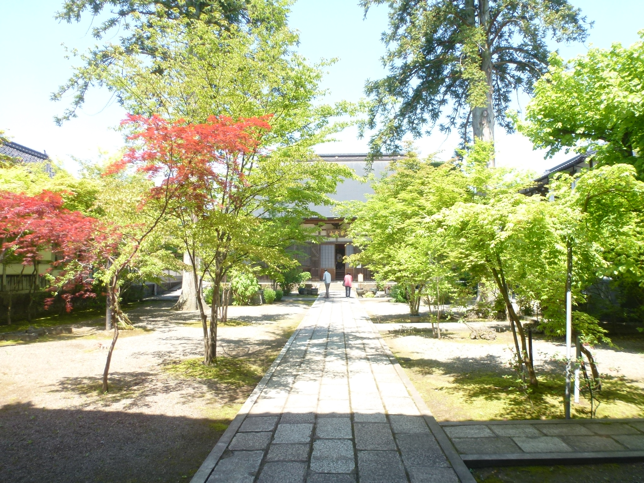 P1110006.JPG