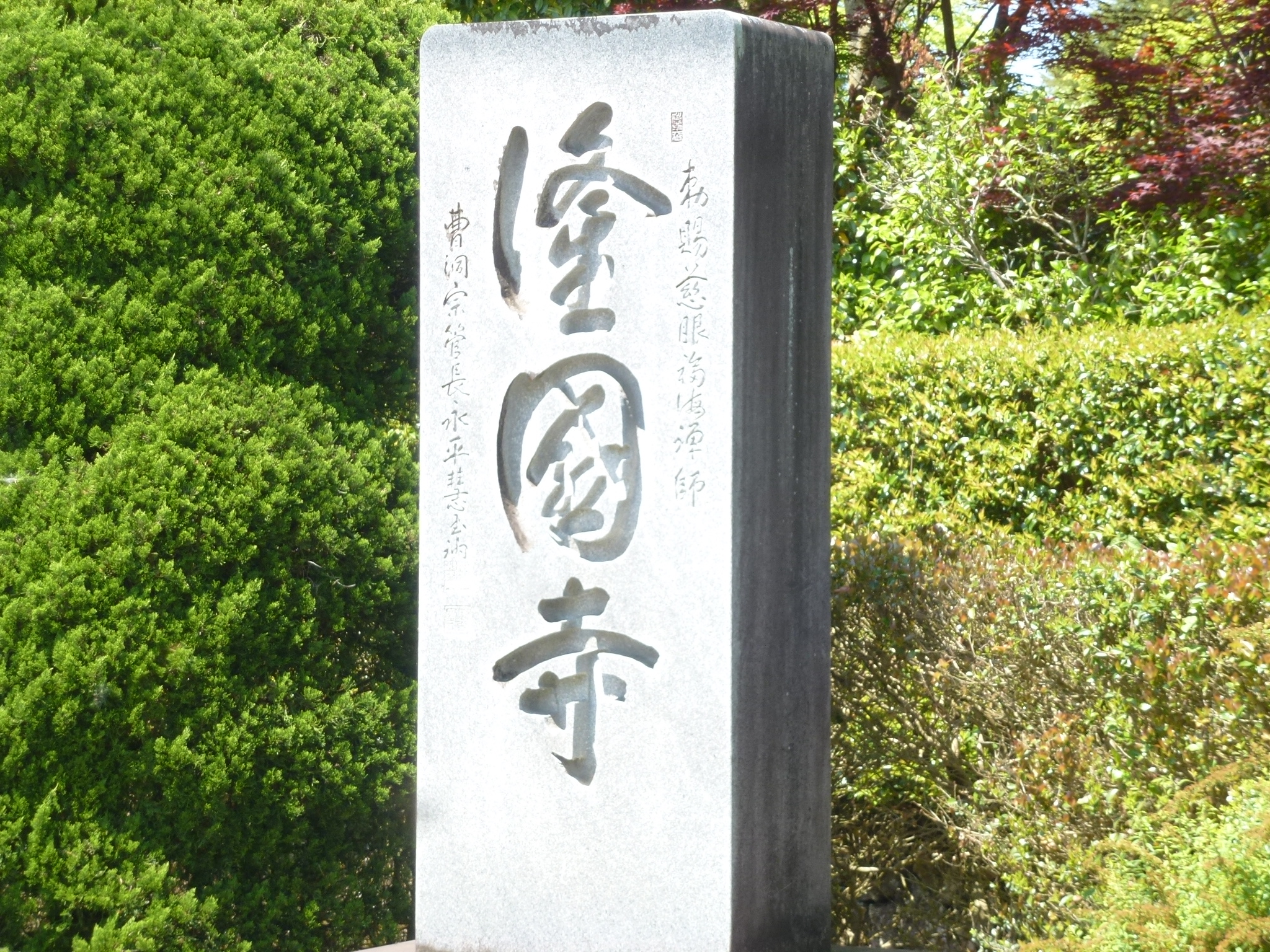 P1110008.JPG