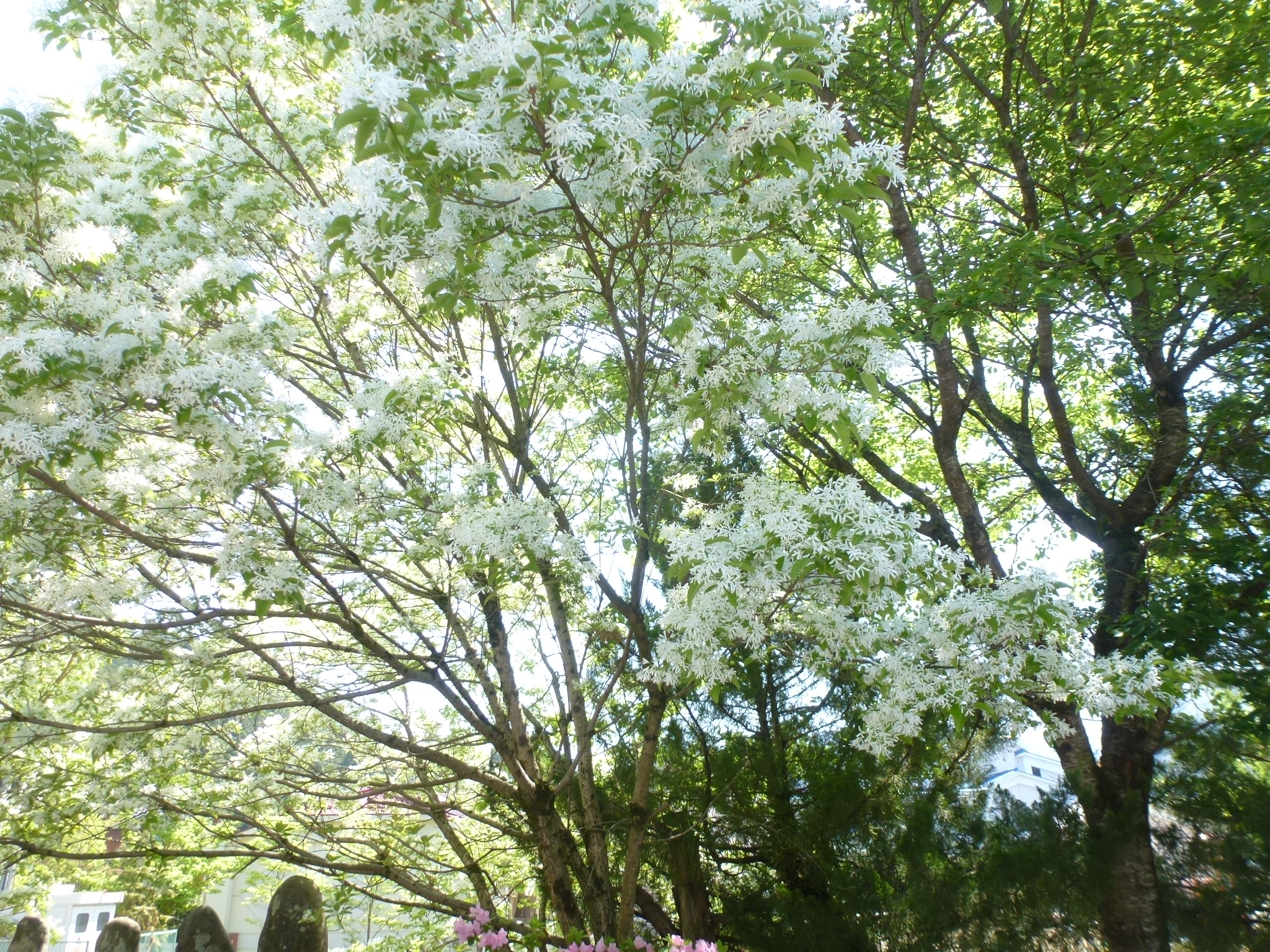 P1110009.JPG