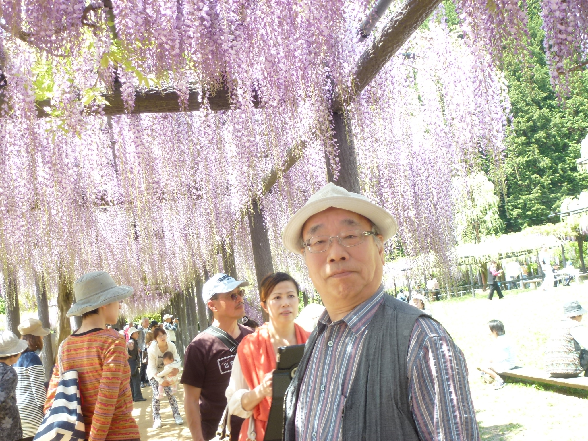 P1110023.JPG