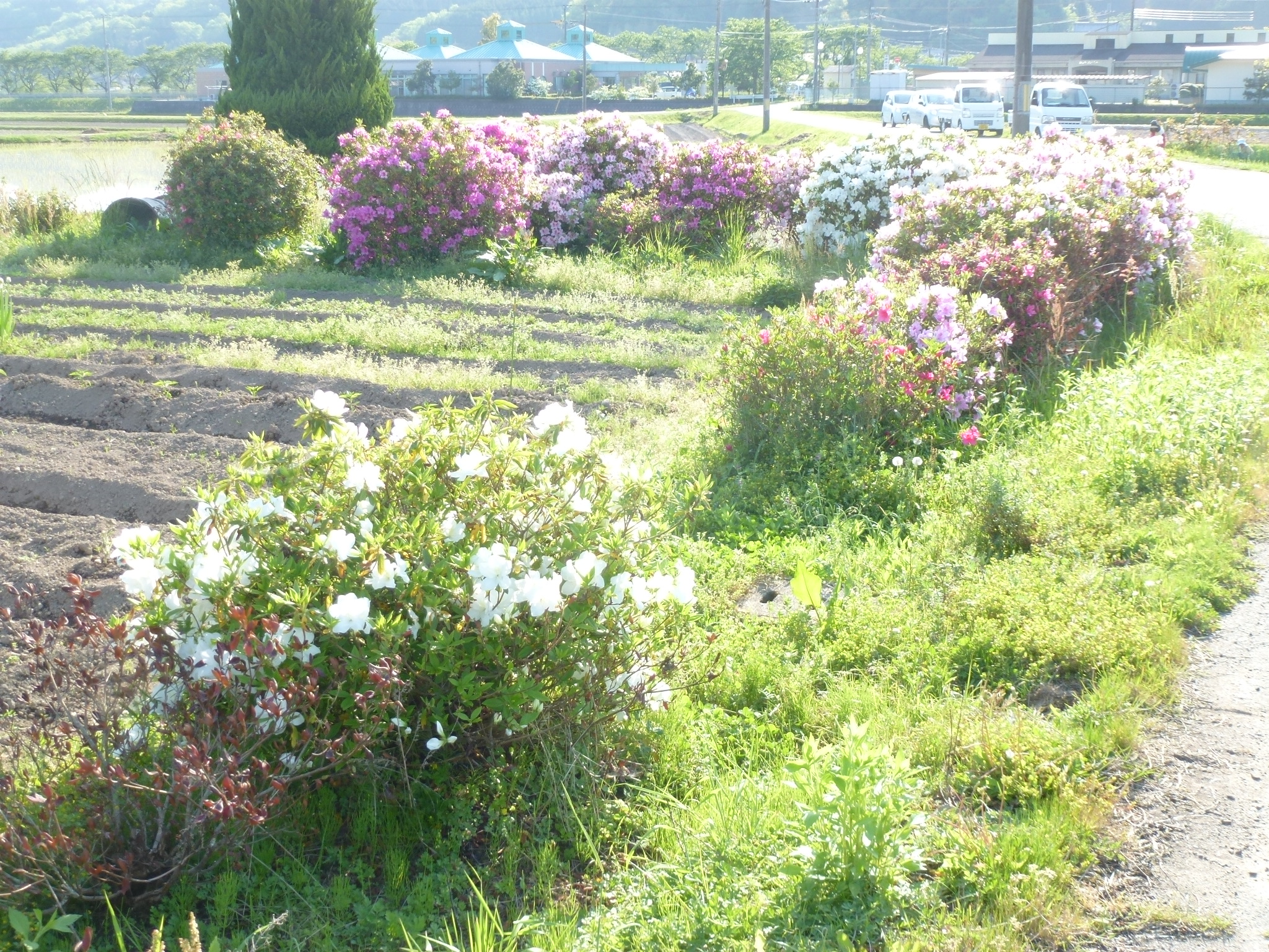 P1110041.JPG