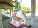 img0003.jpg