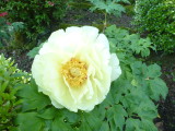 img0008.jpg