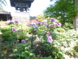 img0014.jpg