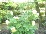 img0017.jpg