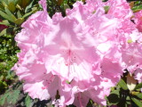 img0022.jpg