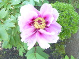 img0023.jpg
