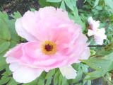 img0025.jpg